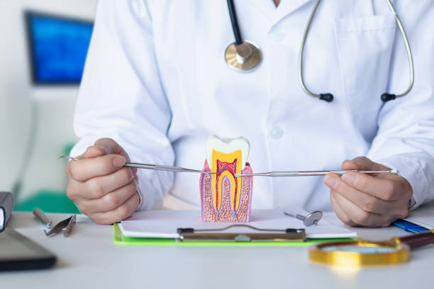 Best Emergency Care for Gum Disease in Oxford, MS